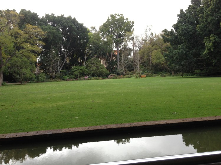 Looking towards the Tropical Grove from the reading terrace at the Reid Library