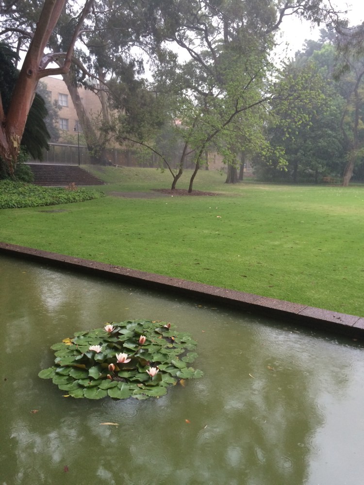Light hail falling on the Reid Library moat