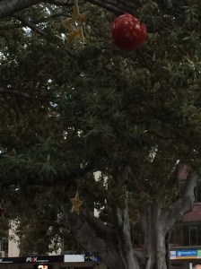 freo christmas lights 2014 1