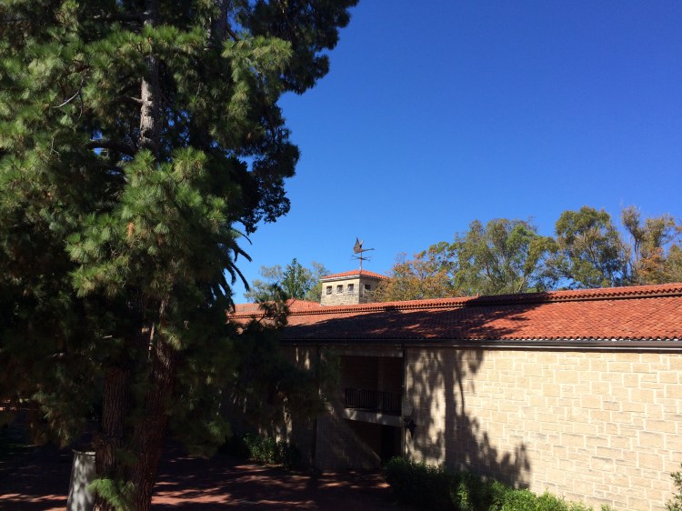 View of UWA Arts building weather vane