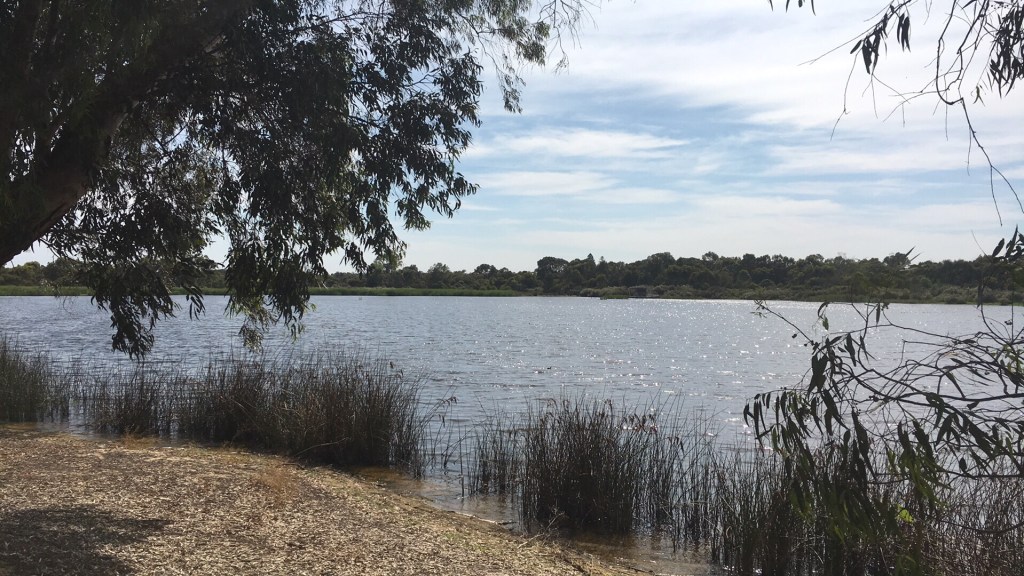 Looking East over Walubup (Bibra Lake) on a grey day with the water framed by trees 